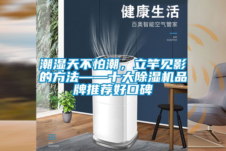潮濕天不怕潮，立竿見影的方法——十大除濕機品牌推薦好口碑