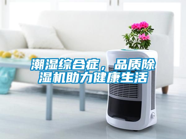 潮濕綜合癥，品質(zhì)除濕機(jī)助力健康生活