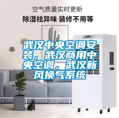 武漢中央空調(diào)安裝，武漢商用中央空調(diào)，武漢新風(fēng)換氣系統(tǒng)