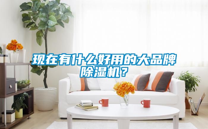 現(xiàn)在有什么好用的大品牌除濕機(jī)？