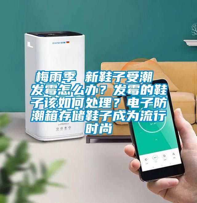 梅雨季 新鞋子受潮 發(fā)霉怎么辦？發(fā)霉的鞋子該如何處理？電子防潮箱存儲鞋子成為流行時尚