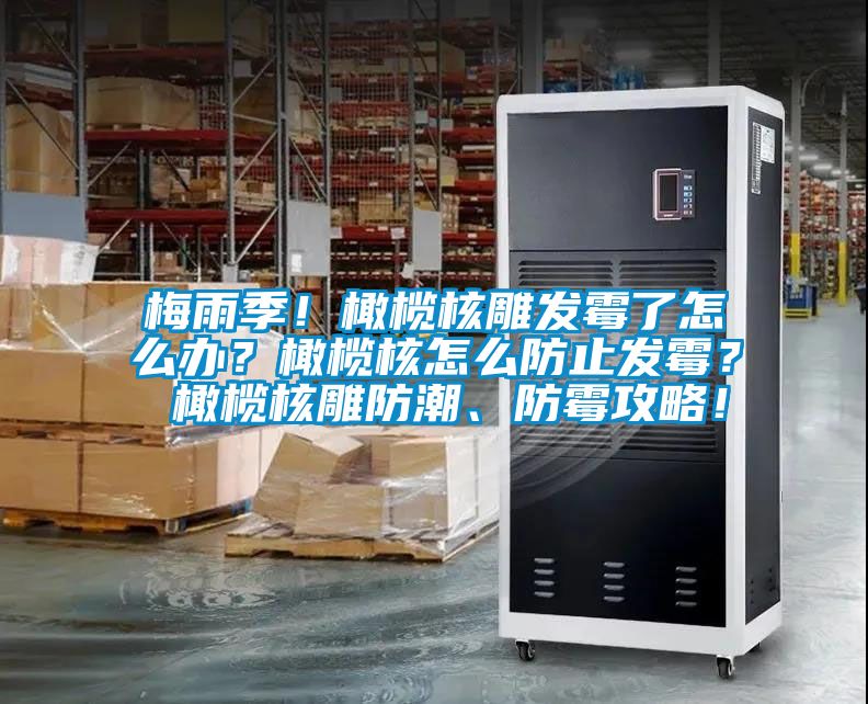 梅雨季！橄欖核雕發(fā)霉了怎么辦？橄欖核怎么防止發(fā)霉？ 橄欖核雕防潮、防霉攻略！