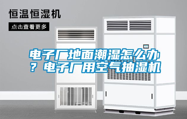 電子廠地面潮濕怎么辦？電子廠用空氣抽濕機(jī)