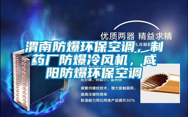 渭南防爆環(huán)?？照{(diào)，制藥廠防爆冷風(fēng)機(jī)，咸陽防爆環(huán)?？照{(diào)