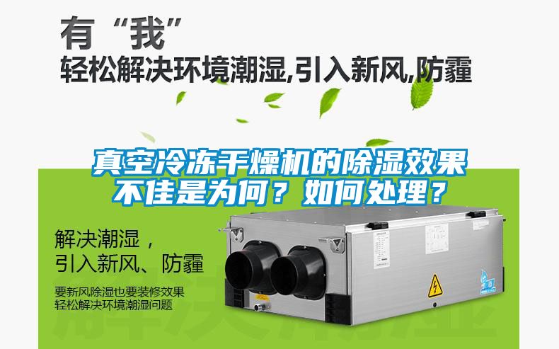 真空冷凍干燥機(jī)的除濕效果不佳是為何？如何處理？