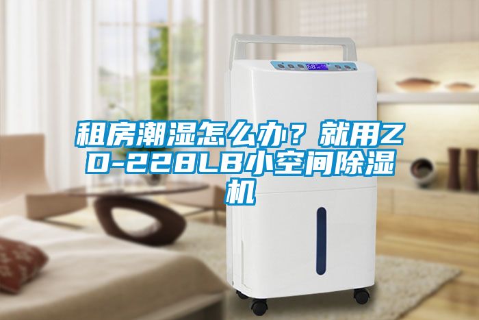 租房潮濕怎么辦？就用ZD-228LB小空間除濕機