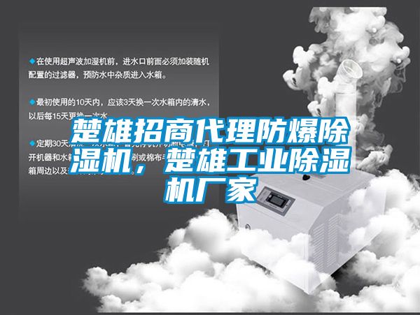 楚雄招商代理防爆除濕機，楚雄工業(yè)除濕機廠家