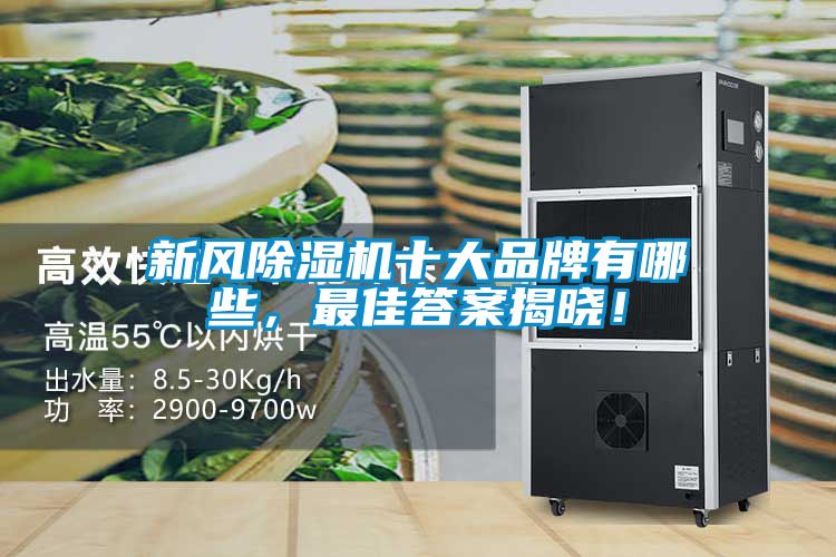 新風除濕機十大品牌有哪些，最佳答案揭曉！