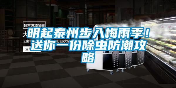 明起泰州步入梅雨季！送你一份除蟲防潮攻略
