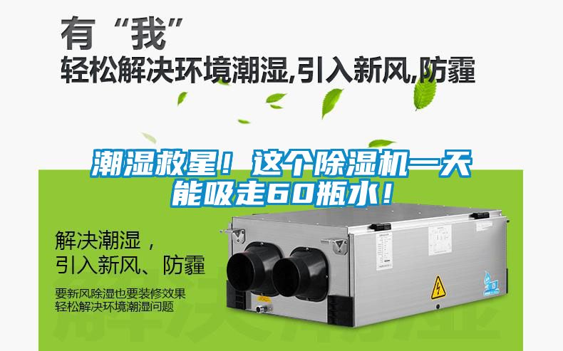 潮濕救星！這個(gè)除濕機(jī)一天能吸走60瓶水！