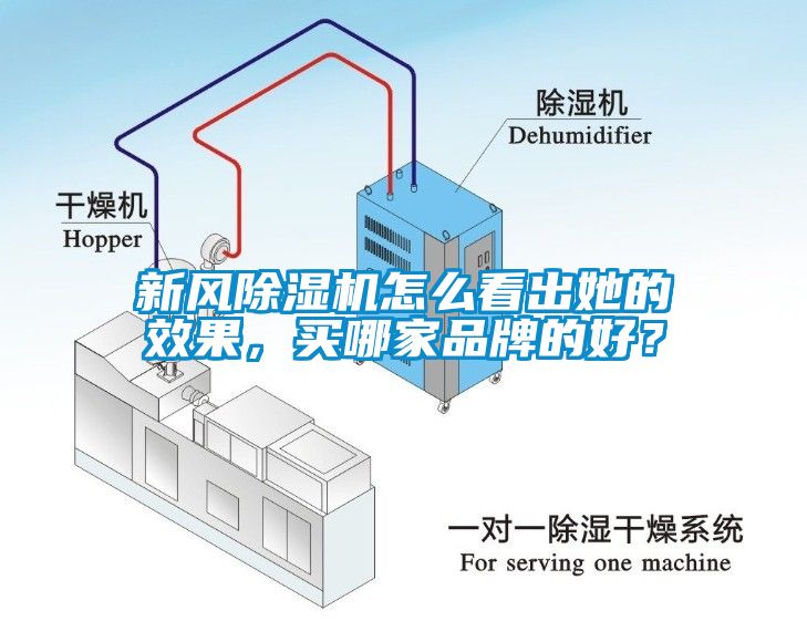 新風除濕機怎么看出她的效果，買哪家品牌的好？