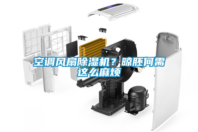 空調風扇除濕機？晾胚何需這么麻煩