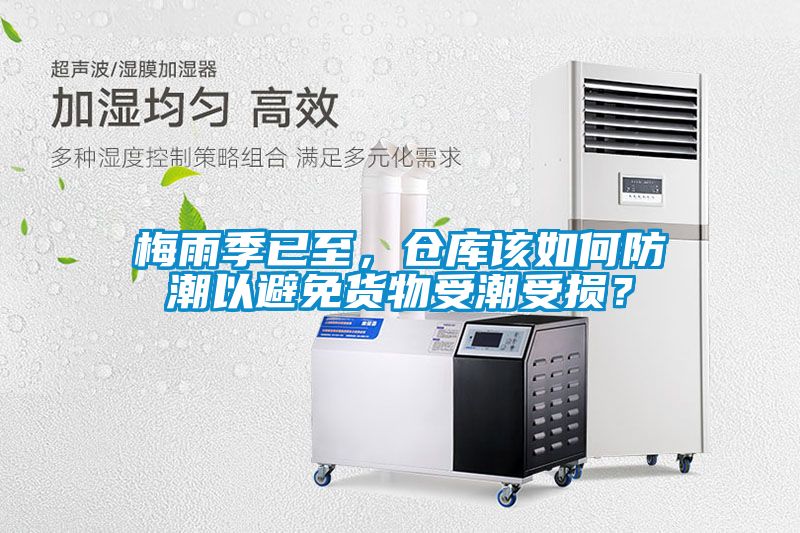 梅雨季已至，倉庫該如何防潮以避免貨物受潮受損？
