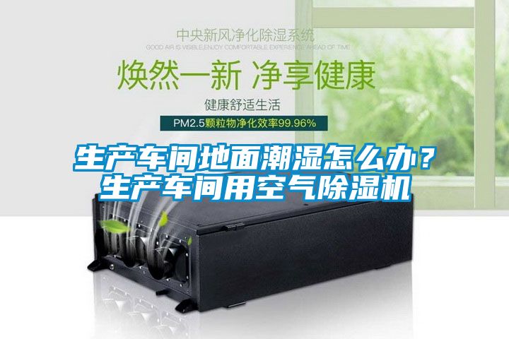 生產(chǎn)車間地面潮濕怎么辦？生產(chǎn)車間用空氣除濕機(jī)