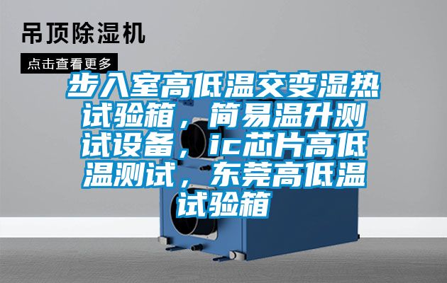 步入室高低溫交變濕熱試驗(yàn)箱，簡(jiǎn)易溫升測(cè)試設(shè)備，ic芯片高低溫測(cè)試，東莞高低溫試驗(yàn)箱