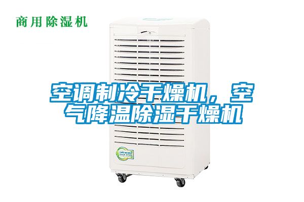 空調(diào)制冷干燥機(jī)，空氣降溫除濕干燥機(jī)