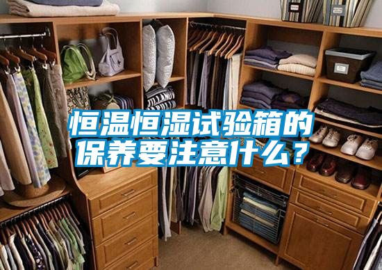 恒溫恒濕試驗箱的保養(yǎng)要注意什么？
