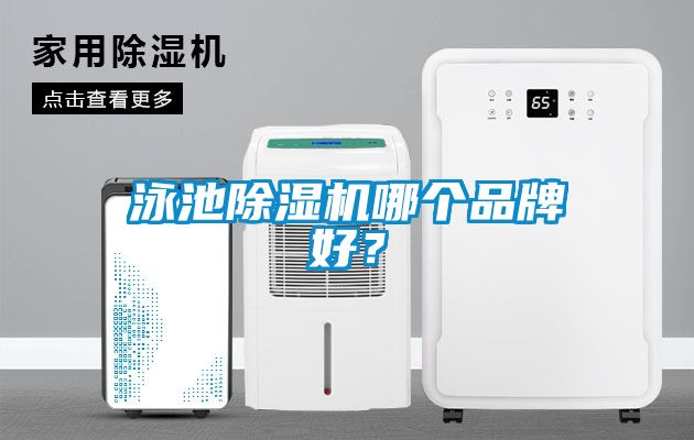 泳池除濕機哪個品牌好？
