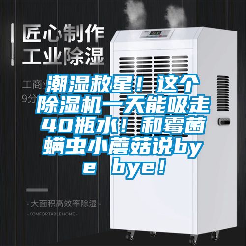 潮濕救星！這個(gè)除濕機(jī)一天能吸走40瓶水！和霉菌螨蟲小蘑菇說bye bye！