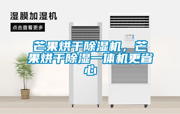 芒果烘干除濕機(jī)，芒果烘干除濕一體機(jī)更省心