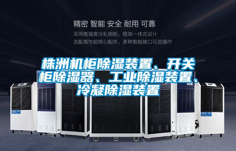株洲機(jī)柜除濕裝置、開(kāi)關(guān)柜除濕器、工業(yè)除濕裝置、冷凝除濕裝置