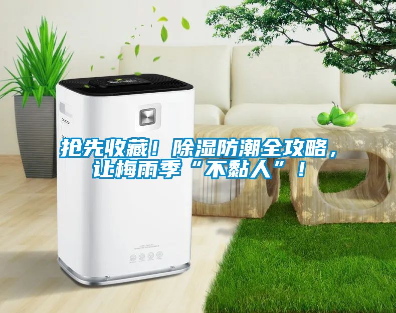 搶先收藏！除濕防潮全攻略，讓梅雨季“不黏人”！
