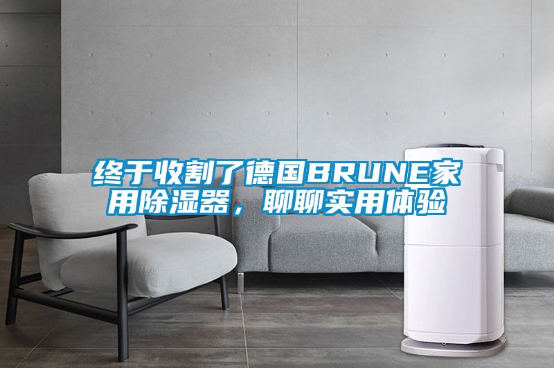 終于收割了德國BRUNE家用除濕器，聊聊實用體驗