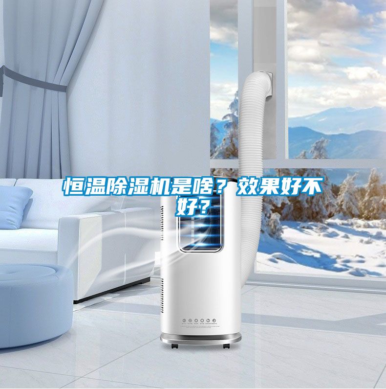 恒溫除濕機(jī)是啥？效果好不好？