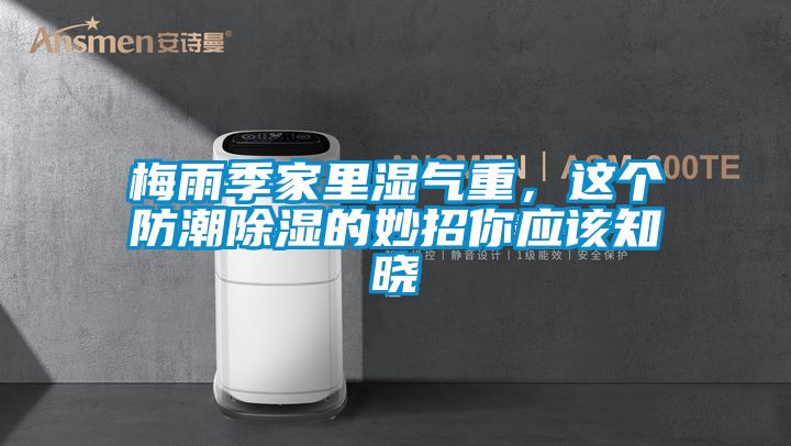 梅雨季家里濕氣重，這個(gè)防潮除濕的妙招你應(yīng)該知曉