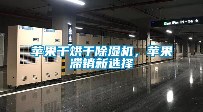 蘋果干烘干除濕機，蘋果滯銷新選擇