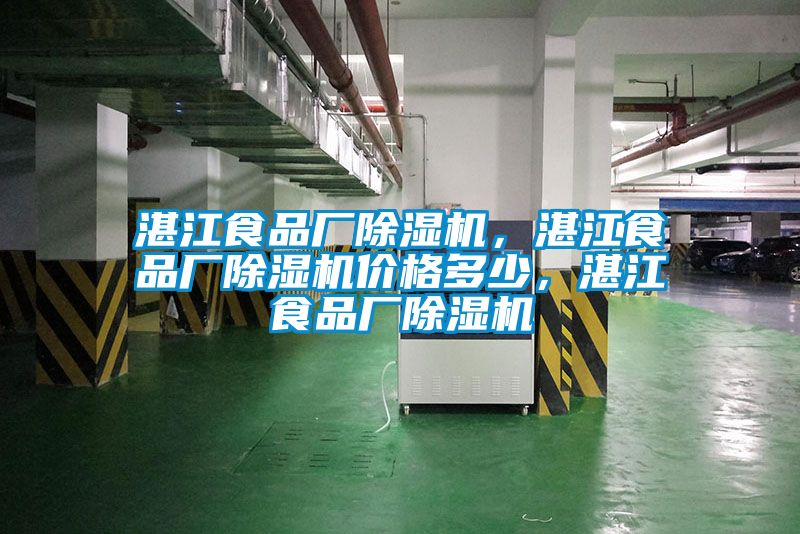 湛江食品廠(chǎng)除濕機(jī)，湛江食品廠(chǎng)除濕機(jī)價(jià)格多少，湛江食品廠(chǎng)除濕機(jī)