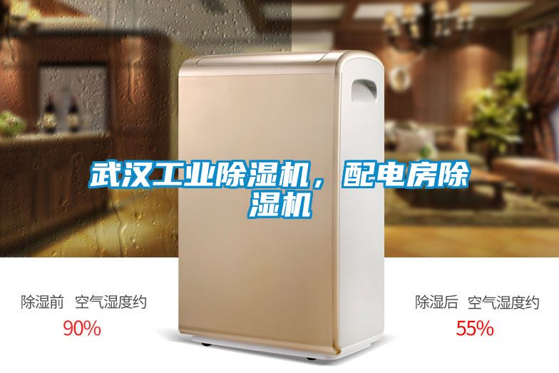 武漢工業(yè)除濕機(jī)，配電房除濕機(jī)