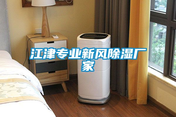 江津?qū)I(yè)新風(fēng)除濕廠家