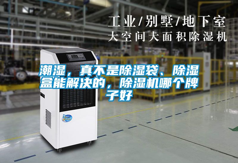 潮濕，真不是除濕袋、除濕盒能解決的，除濕機哪個牌子好