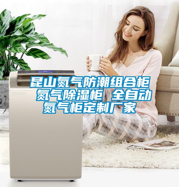 昆山氮?dú)夥莱苯M合柜 氮?dú)獬凉窆?全自動氮?dú)夤穸ㄖ茝S家