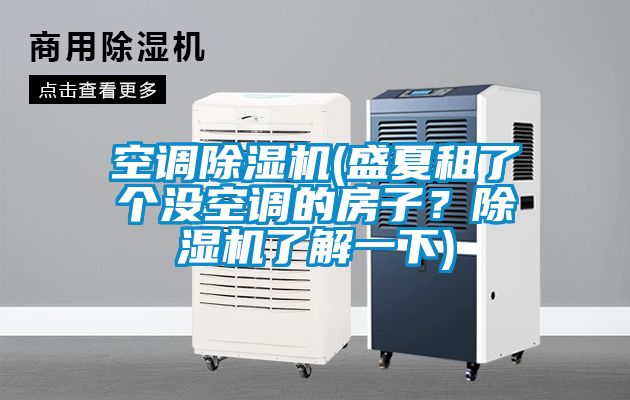 空調(diào)除濕機(盛夏租了個沒空調(diào)的房子？除濕機了解一下)