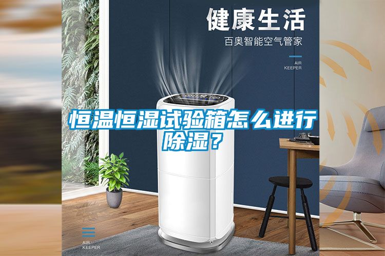 恒溫恒濕試驗(yàn)箱怎么進(jìn)行除濕？