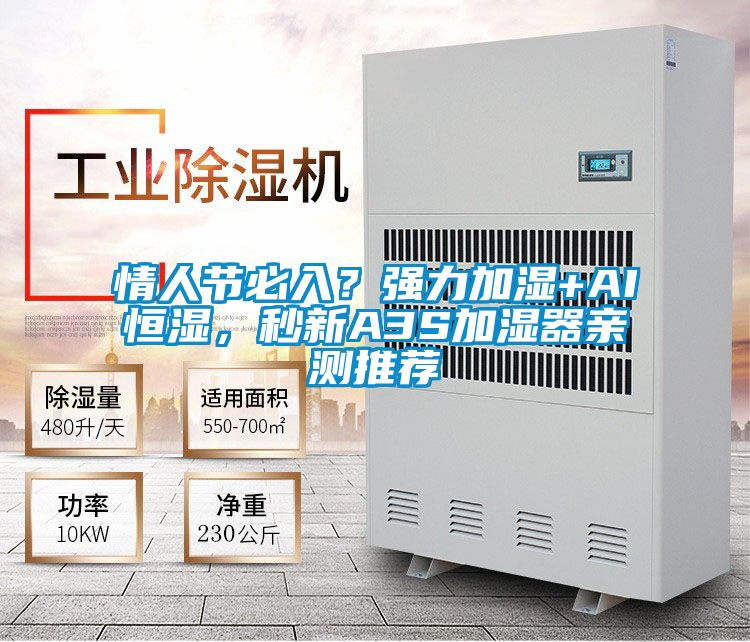 情人節(jié)必入？強力加濕+AI恒濕，秒新A3S加濕器親測推薦