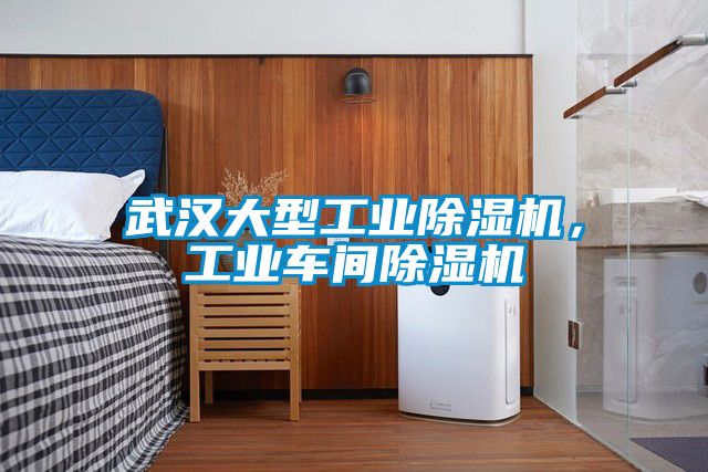 武漢大型工業(yè)除濕機，工業(yè)車間除濕機