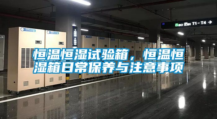 恒溫恒濕試驗(yàn)箱，恒溫恒濕箱日常保養(yǎng)與注意事項(xiàng)