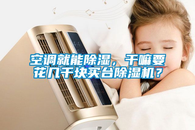 空調(diào)就能除濕，干嘛要花幾千塊買臺除濕機？