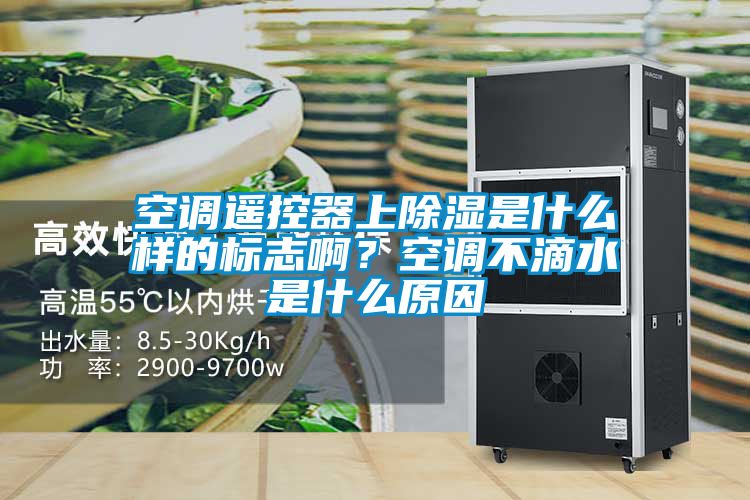 空調(diào)遙控器上除濕是什么樣的標(biāo)志啊？空調(diào)不滴水是什么原因