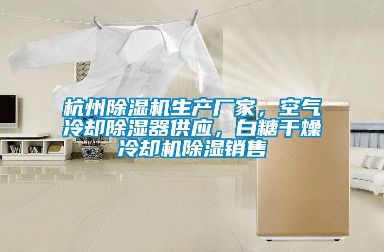 杭州除濕機(jī)生產(chǎn)廠家，空氣冷卻除濕器供應(yīng)，白糖干燥冷卻機(jī)除濕銷售