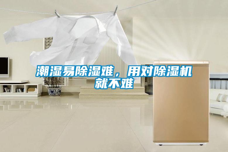 潮濕易除濕難，用對除濕機就不難