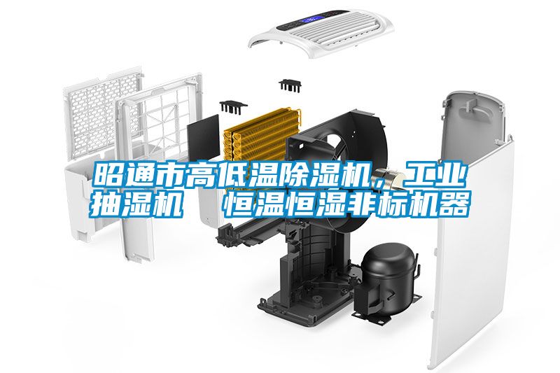昭通市高低溫除濕機，工業(yè)抽濕機  恒溫恒濕非標機器