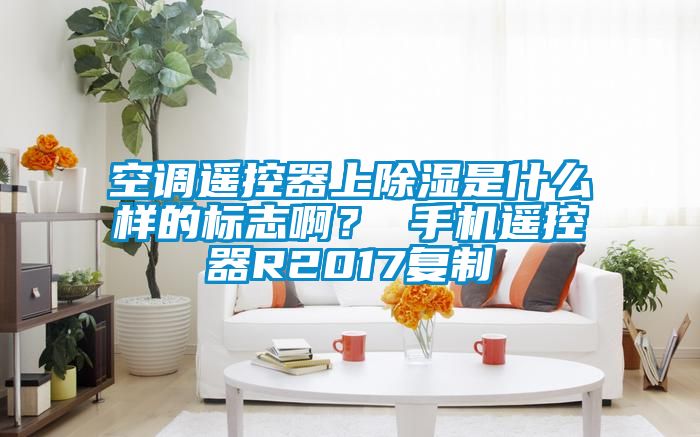 空調(diào)遙控器上除濕是什么樣的標(biāo)志啊？ 手機(jī)遙控器R2017復(fù)制