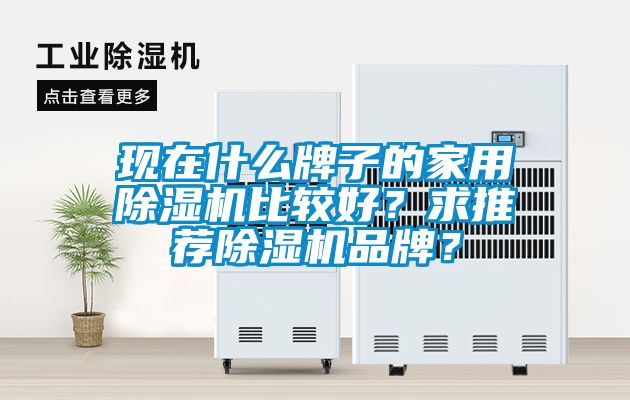 現(xiàn)在什么牌子的家用除濕機(jī)比較好？求推薦除濕機(jī)品牌？