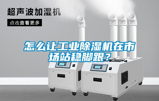 怎么讓工業(yè)除濕機在市場站穩(wěn)腳跟？