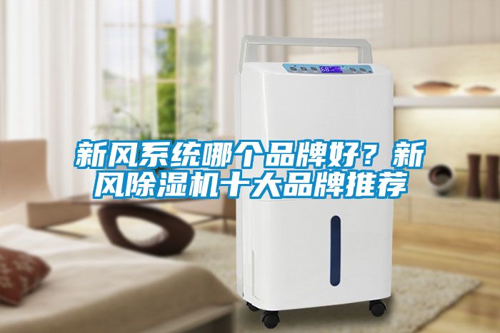 新風系統(tǒng)哪個品牌好？新風除濕機十大品牌推薦