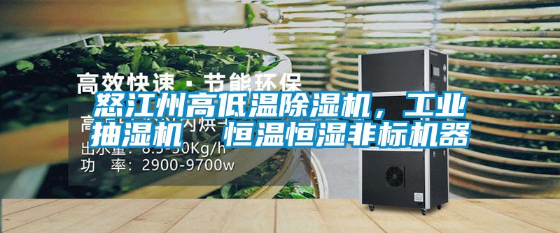 怒江州高低溫除濕機(jī)，工業(yè)抽濕機(jī)  恒溫恒濕非標(biāo)機(jī)器
